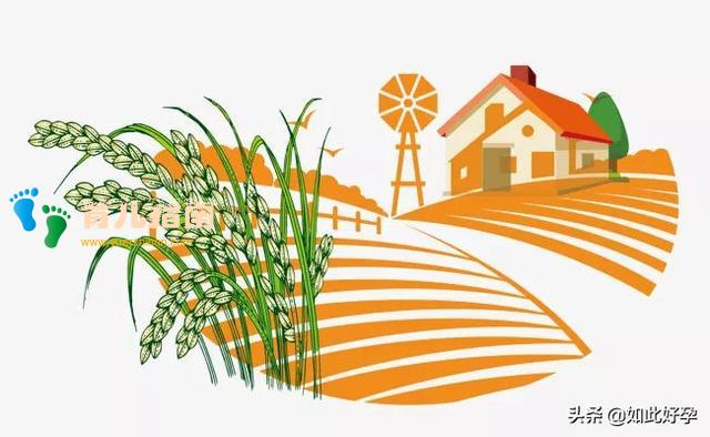 听说胎梦是宝宝在托梦，还能预测性别？看看这些妈妈们是怎么说的