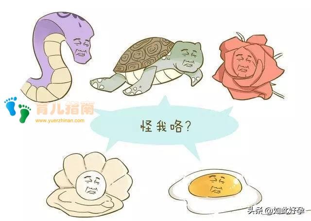 听说胎梦是宝宝在托梦，还能预测性别？看看这些妈妈们是怎么说的