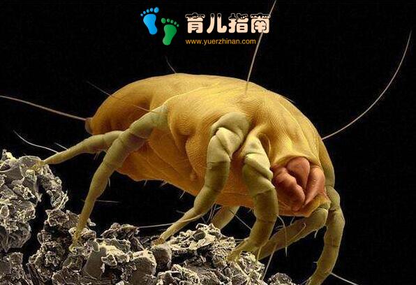 凉席一年没洗太脏了,教你用一秘招,洗完既干净又除螨虫,太棒了