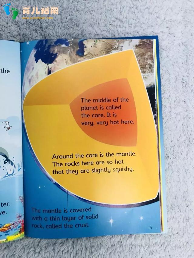 长大后只看得懂小说,因为小时候这类书没读好 | 小偷阅读法详解