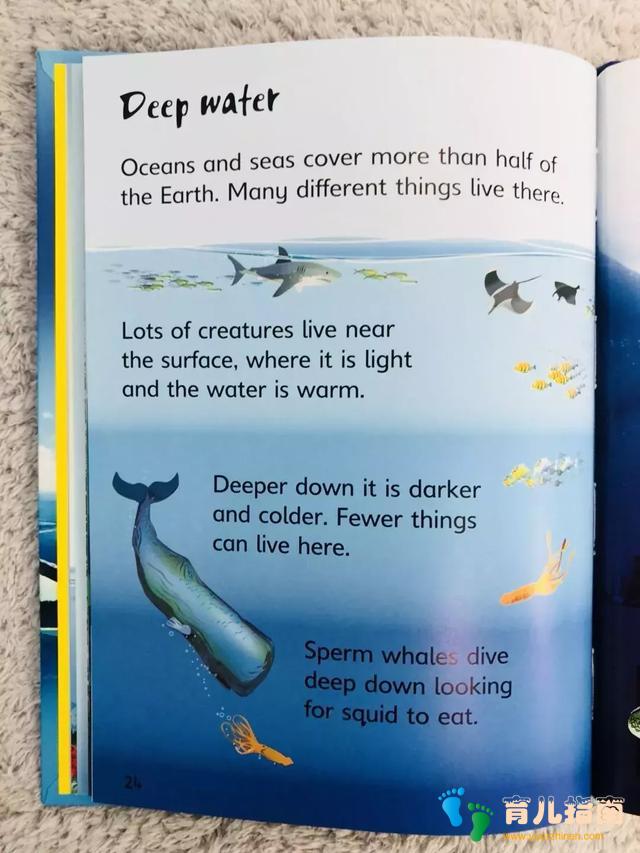 长大后只看得懂小说,因为小时候这类书没读好 | 小偷阅读法详解