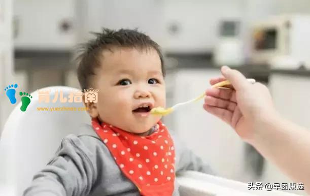 宝宝要多喝水?没长牙只能喝糊糊?别让你的无知,毁了孩子一辈子