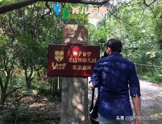 国内首家天价无边界森林幼儿园”收费19.8万，你怎么看