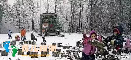 国内首家天价无边界森林幼儿园”收费19.8万,你怎么看