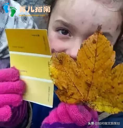 国内首家天价无边界森林幼儿园”收费19.8万,你怎么看