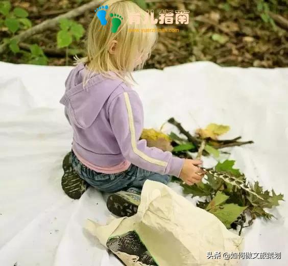 国内首家天价无边界森林幼儿园”收费19.8万,你怎么看