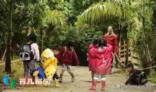 国内首家天价无边界森林幼儿园”收费19.8万,你怎么看