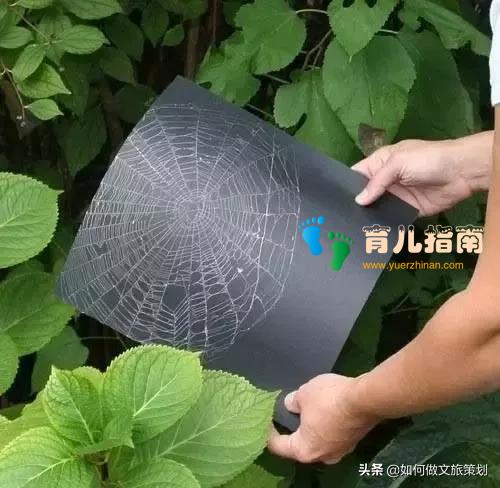 国内首家天价无边界森林幼儿园”收费19.8万,你怎么看