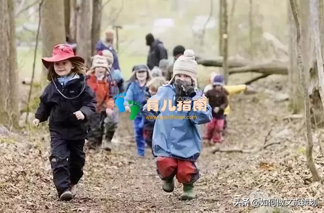 国内首家天价无边界森林幼儿园”收费19.8万,你怎么看