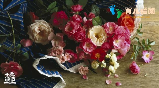 有远见的父母,都懂得带孩子见世面