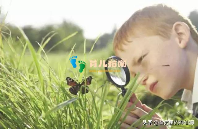 教育闲聊之帮助孩子在6岁之前发展一定的生活能力