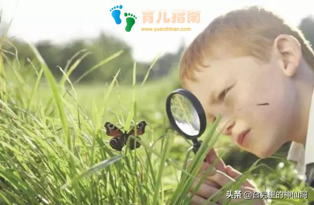 教育闲聊之0-6岁孩子的生活日常：认识事物及动手能力