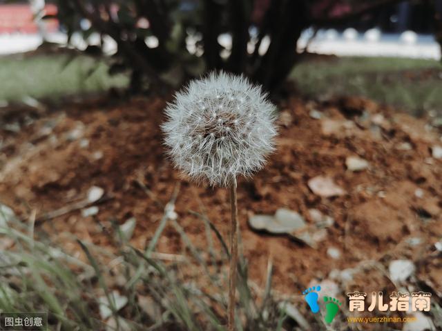 培养孩子自律能力:改变我们自己的反应,影响孩子进入良性循环