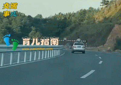 一组动图警示你：血淋淋的教训！不要让孩子把头伸出车窗之外