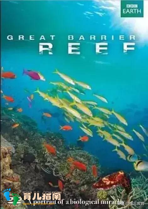 暑期陪孩子看这10部纪录片,让孩子坐地日行八万里