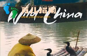 暑期陪孩子看这10部纪录片,让孩子坐地日行八万里