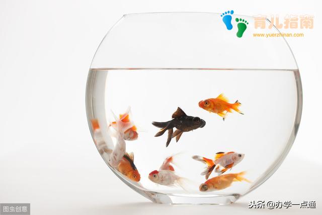 世界上最伟大的25个教育法则