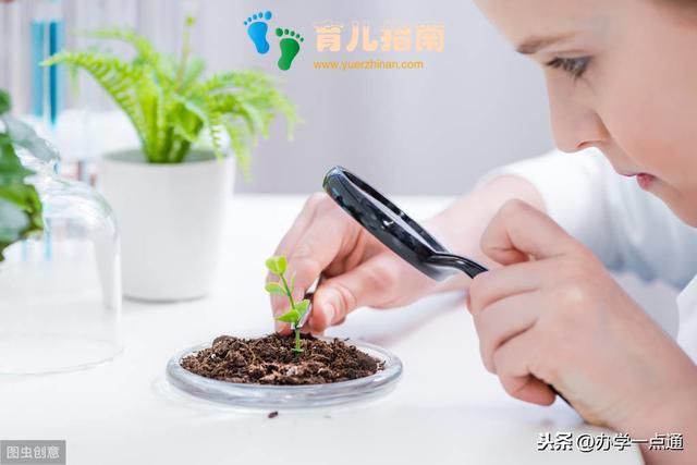 世界上最伟大的25个教育法则