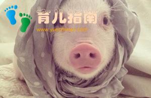 5种取名思路，帮宝宝取一个独特的名字，避免重名的尴尬！