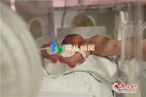 走近新生儿监护室护士:每天洗手消毒近百遍 用爱守护小天使”