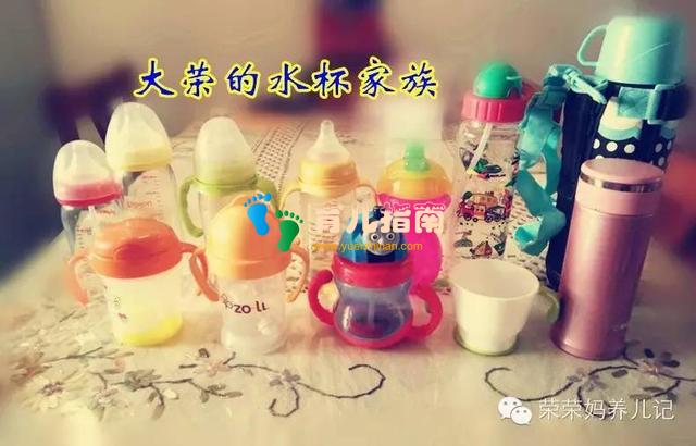孩子有个水壶用不就行了吗买那么多干嘛？荣哥依姐爱用水壶大盘点