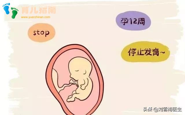 产检时明明好好的,怎么就突然胎停了?