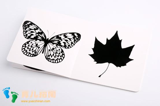 宝宝的第一套书应该读什么？怎么选才是正确的？（新手妈妈必入）