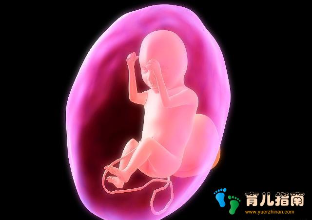 到了孕晚期，如何预防羊水早破？4个方法孕妇要牢记