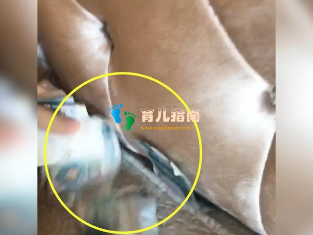 宝宝4种荒诞不经”的行为,其实是聪明外放的表现,家长别多心