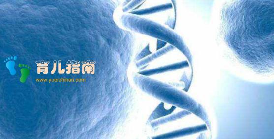 哺乳期第几个月瘦得快?掌握减肥黄金期就能轻松瘦回孕前状态