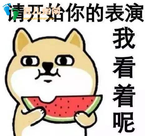 给孩子读绘本,如何胡扯”出高境界?