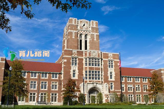 普通家庭，怎样培养孩子考上985大学？答案很现实