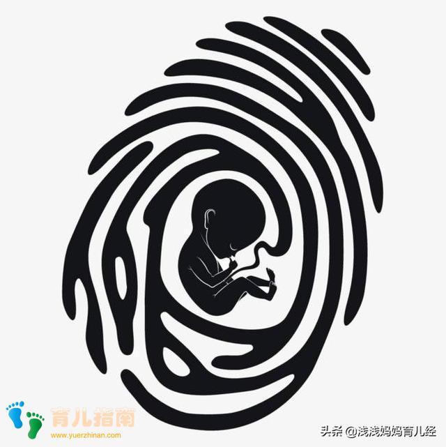 到了这个孕周才被称为胎宝宝”,并且有了两项技能,可爱极了!