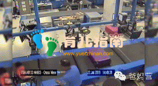 小心!2岁宝宝爬上「行李带」消失!