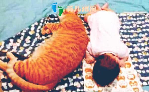 橘猫陪着宝宝睡觉，一个侧身压到宝宝身上，露出的表情让主人乐了