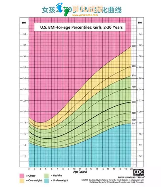 只要一口蒸锅就搞定！蔬菜这样做，营养密度高出一大截