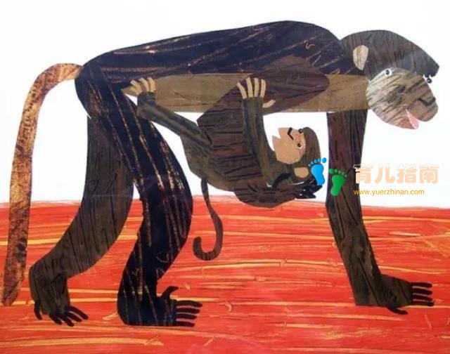 双语学习 | Does a Kangaroo Have a Mother, too?