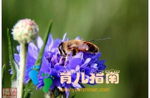 家长如何正确辅导孩子学习？