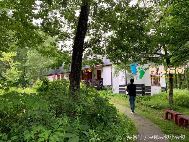 日本丛林深处的绘本村