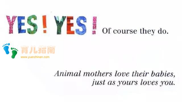 双语学习 | Does a Kangaroo Have a Mother, too?