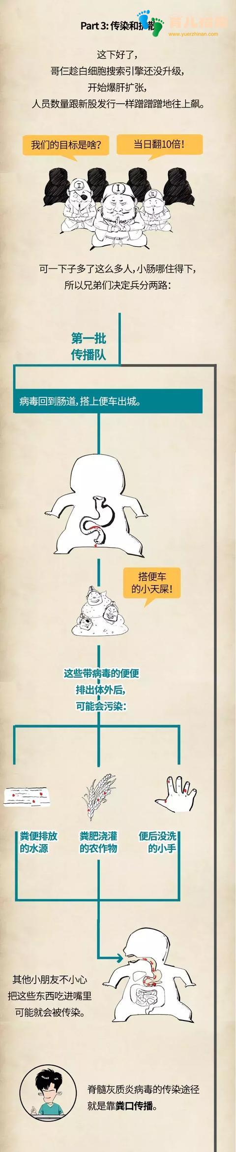 《Stone小百科》--小儿麻痹，究竟是种什么病？