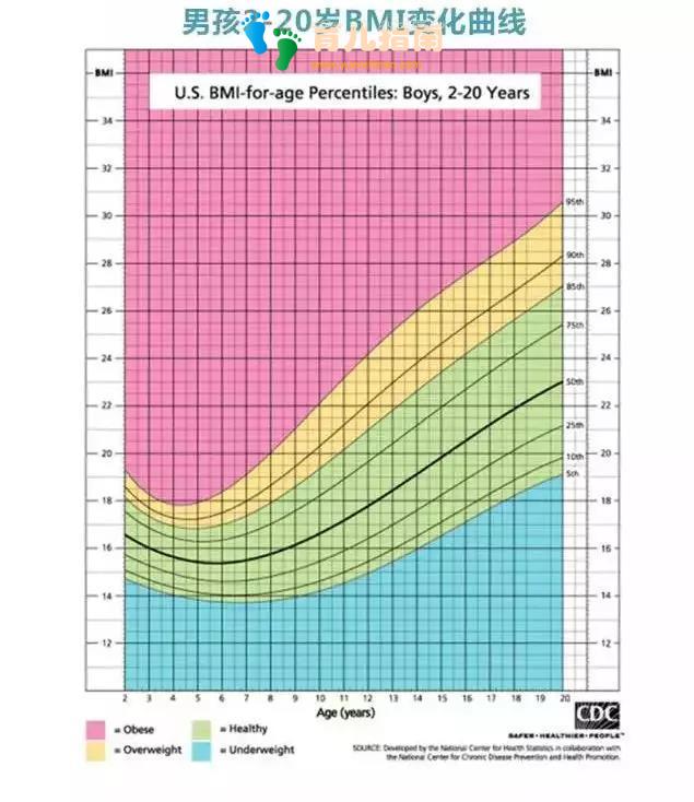 只要一口蒸锅就搞定！蔬菜这样做，营养密度高出一大截