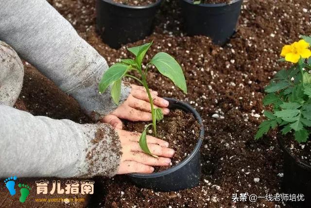 正面管教,美国心理学家告诉你,自己的孩子也可以成才