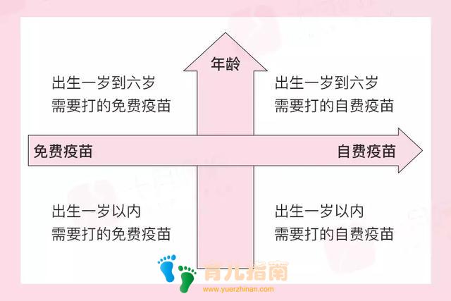 最新的宝宝疫苗接种指南,快为宝宝收藏,晚一秒都是损失