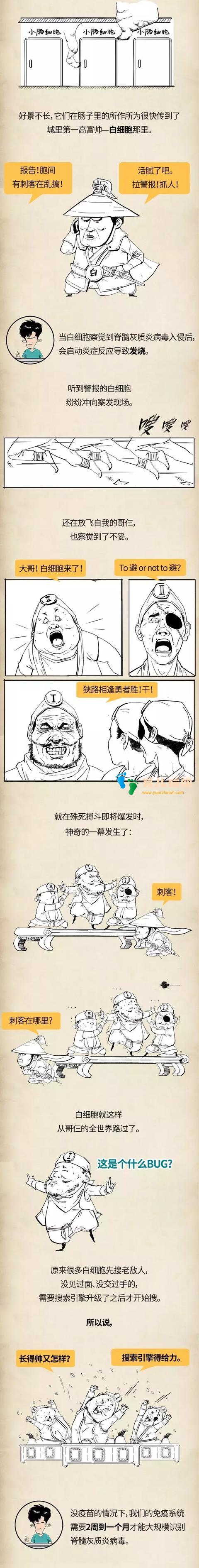 《Stone小百科》--小儿麻痹，究竟是种什么病？