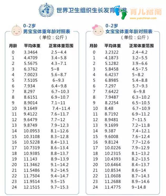 只要一口蒸锅就搞定！蔬菜这样做，营养密度高出一大截