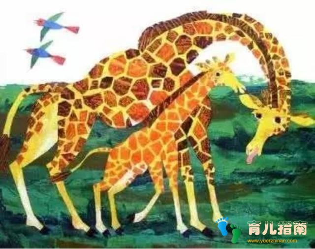 双语学习 | Does a Kangaroo Have a Mother, too?