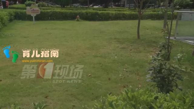 当心!深圳男童被这种小虫咬后高烧10天未退,严重可致命