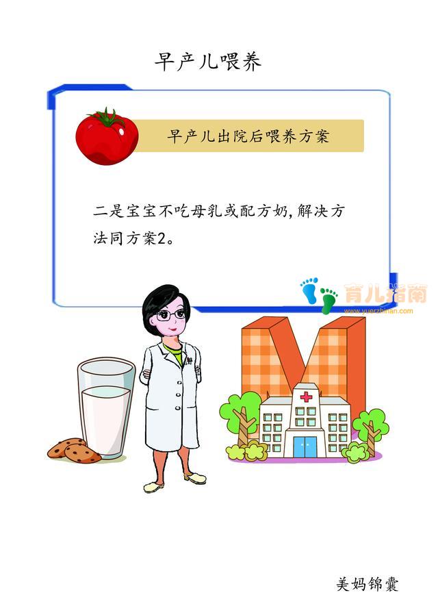 早产儿出院后需要母亲精心的呵护和照料