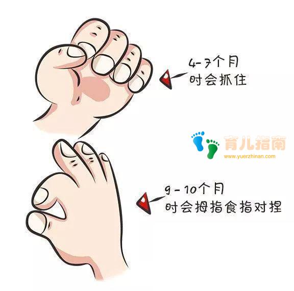 宝宝智商高不高,得看这五个方面!家长必知的幼儿智力发育对照表